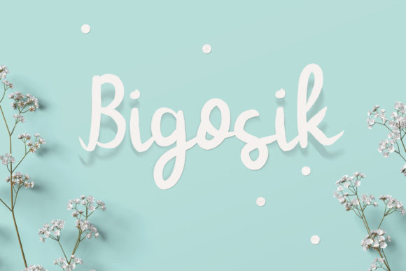Bigosik Font Review for Handmade Branding