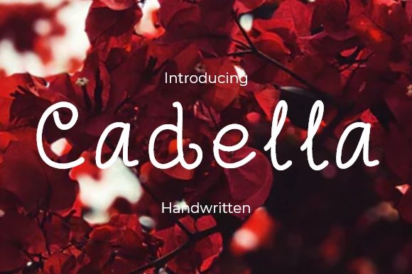 Cadella: A Bouncy Script Font for Modern Brands
