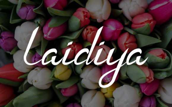 Laidiya: The Perfect Script Handwritten Font for Crafters